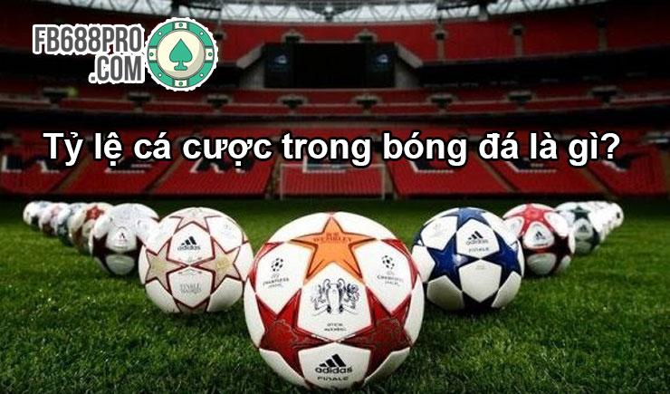 Hướng dẫn chơi bài tá lả hiệu quả cho người mới bắt đầu